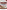 blur背景