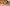 blur背景
